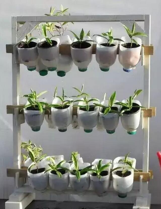 青島花園設(shè)計