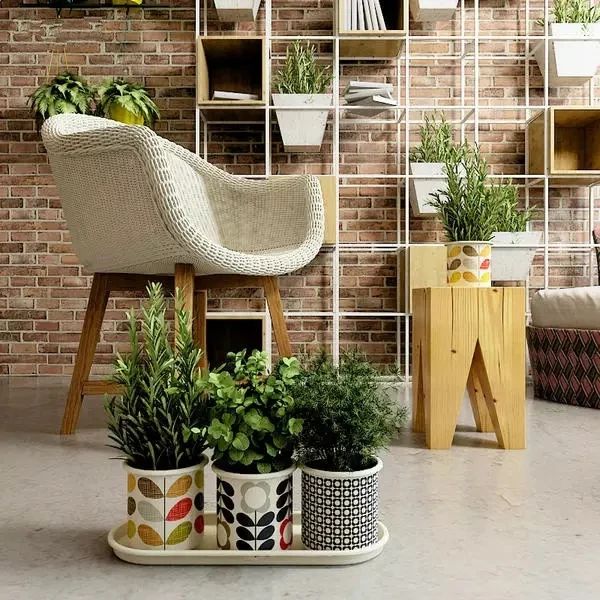 如此精致的室內(nèi)花園，你也能擁有！