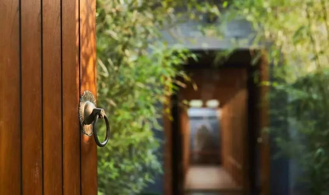 現代庭院也能有茂林修竹，種下一片清幽秀麗