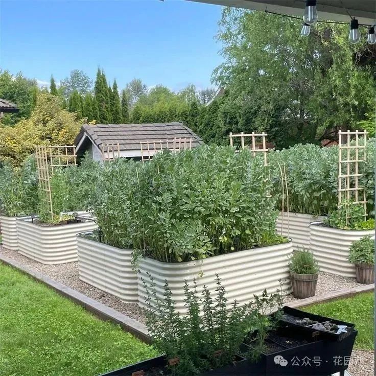 建造花園應(yīng)該關(guān)注哪些問(wèn)題？