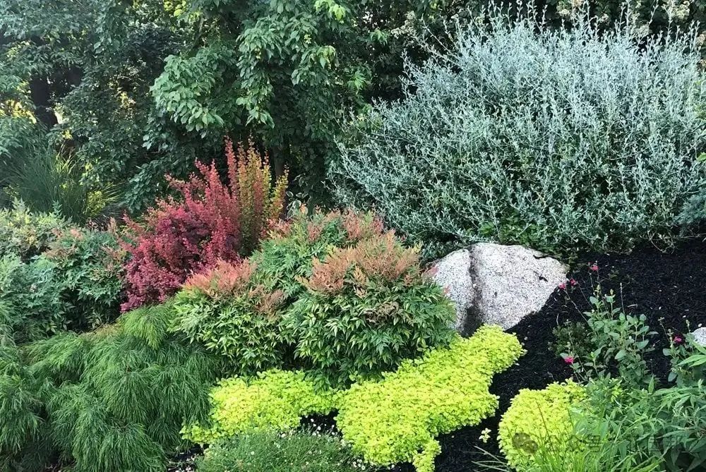 用葉子設(shè)計(jì)花園